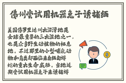 世界不安全的人1免费播放冰河剧